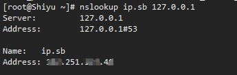 nslookup.png